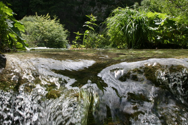 gal/cro 08/small-IMG_5617.JPG